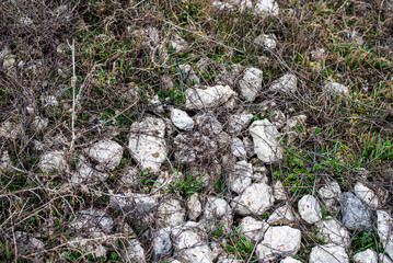 Close-up of a Gray Gravel Surface with Detailed Texture