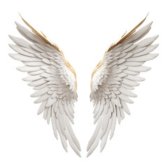 angel wings