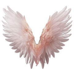 Fototapeta premium heart shaped wings