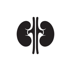 black kidneys of human anatomy. Illustration of human kidney organ.