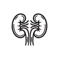 black kidneys of human anatomy. Illustration of human kidney organ.