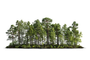 Fototapeta premium a group of trees in the middle of a lake cutout image and isolated on transparent background 