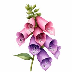 Colorful flowers in bloom, showcasing beauty.