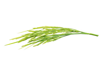Naklejka premium a bunch of green grass on a white background cutout image and isolated on transparent background 