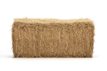 hay bale bale bale bale bale bale bale bale bale cutout image and isolated on transparent background 