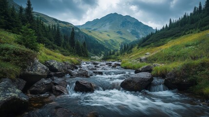 Scenic Mountain River View