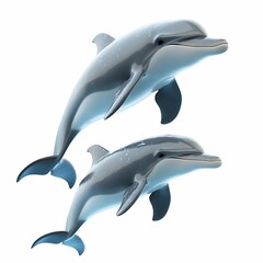 Two playful dolphins swimming gracefully.