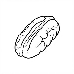 Fototapeta premium nut pecan sketch 