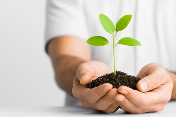 Close-up of hands holding a small plant in soil. Concept of zero carbon development, zero carbon.
