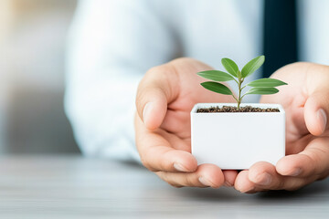 Close-up of hands holding a small plant in soil, a businessman wearing a white shirt and tie sitting at a desk,