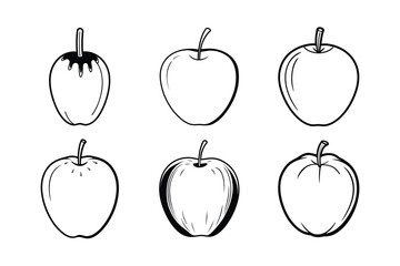 Ice Apple (Palmyra Fruit) – Borassus flabellifer line art vector illustration