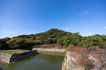 Fototapeta premium 青空の下に広がる萩城跡の堀と緑豊かな指月山