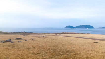 波戸岬で体験できる風景
