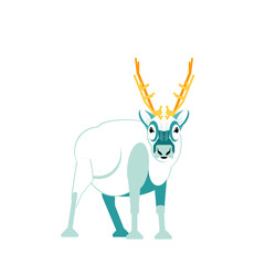 Reindeer Svalbard, Norway mid century modern design 