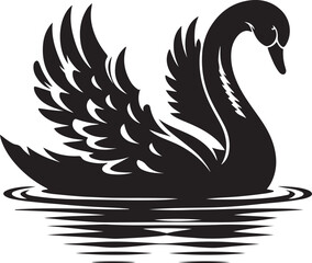 black and white swan