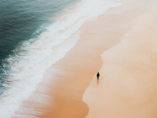 an aerial view of the beach with waves gently lapping at its edge,  a lonely figure standing near