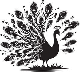 Fototapeta premium peacock feather vector