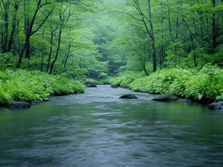 Serene river flowing through lush green forest under soft morning light