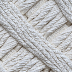 Seamless braided white rope texture pattern