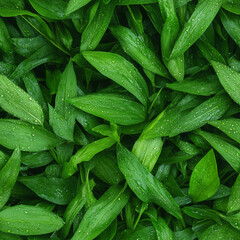 Seamless green foliage pattern with lush leaves and water droplets