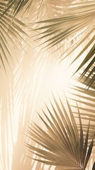 Obraz premium Palm leaves sunlight backgrounds outdoors.