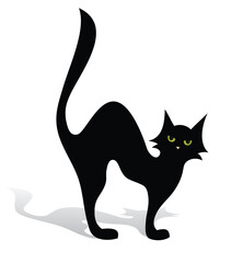 Silhouette of black cat.