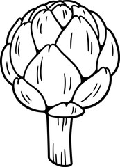 Artichoke hand drawn sketch, black and white drawing. Vector clipart illustration.