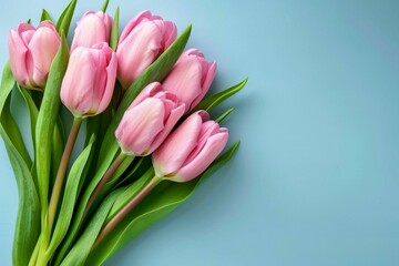 Fototapeta premium Bouquet of colorful tulips