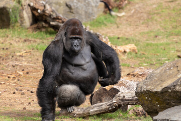 Tierpark