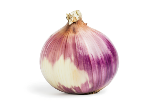 a purple onion on a white background cutout image and isolated on transparent background 