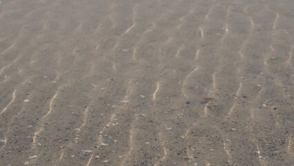 Sunlight Reflections on Shallow Seabed Natural Water Texture