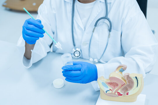 Doctor demonstrates cervical cancer screening on white background.Gynecologist wear blue gloves teaching patient for vaginal and cervix pap smear check up in the obstetrics and gynecology department.