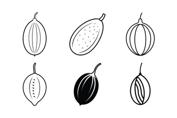 Indian Screw Tree Fruit – Helicteres isora line art vector illustration