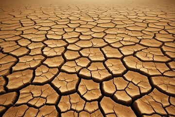 a close up of a desert with a few cracks in it