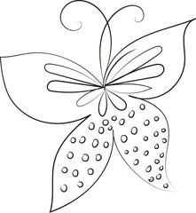 Vector butterfly outline with drawn details collection