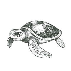 Obraz premium Detailed Sketch of a Sea Turtle Swimming in Ocean Waters