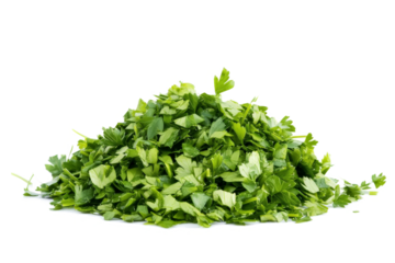 fresh parsley parsley parsley parsley parsley parsley parsley parsley parsley cutout image and isolated on transparent background 