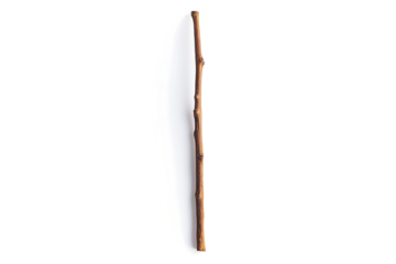 a stick with a long stick sticking out of it cutout image and isolated on transparent background 