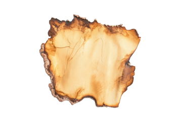 a piece of wood with a white background cutout image and isolated on transparent background 