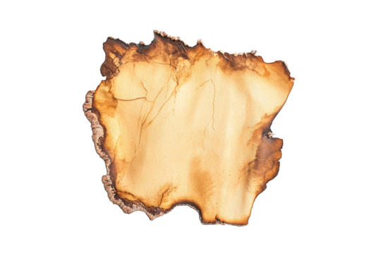 a piece of wood with a white background cutout image and isolated on transparent background 
