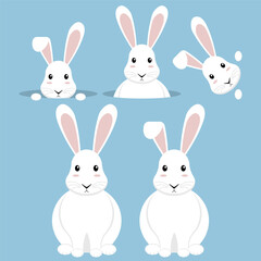Charming and Cute Animated Bunnies Captured in Various Poses for Your Enjoyment and Fun