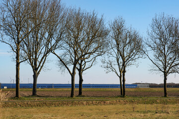Blue sky and barren landscape with trees in a quiet rural area during early spring