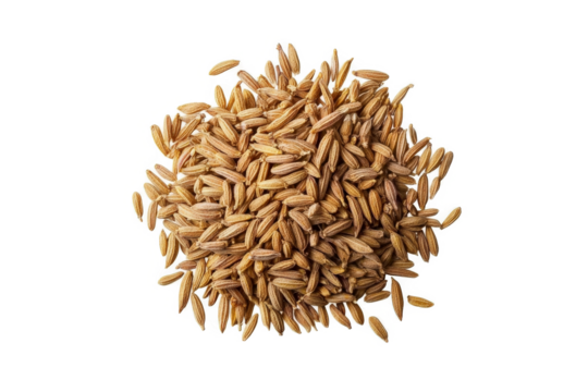 a pile of brown rice on a white background cutout image and isolated on transparent background 