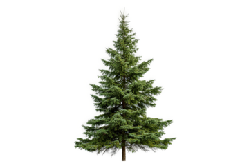 3d christmas tree model christmas tree by 3d _ model cutout image and isolated on transparent background 