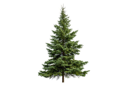 3d christmas tree model christmas tree by 3d _ model cutout image and isolated on transparent background 