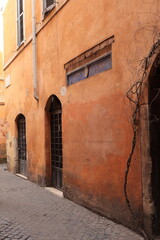 Obraz premium Via dei Cappellari Street View with Orange Brown Building Facades in Rome, Italy