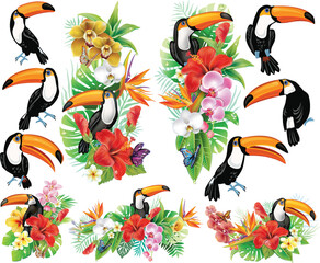 Tropical Toucan Set with Exotic Flowers, Hibiscus, Orchids, Palm Leaves, and Rainforest Foliage. Perfect for summer, jungle themes, and tropical designs