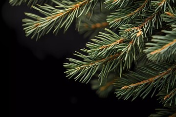 Pine tree branch with vibrant green needles, highlighting winter foliage, forest life, and seasonal decoration, perfect for eco-friendly designs, stylized comic book illustration