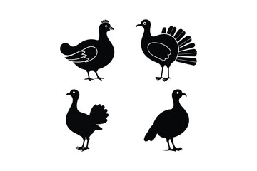 Fototapeta premium Turkey Silhouette Vector Set Thanksgiving Bird Illustration