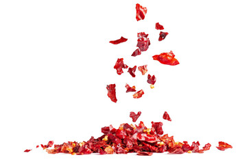a pile of red rose petals falling off cutout image and isolated on transparent background 